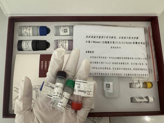 轮状病毒检测试剂 抗体、核酸与抗原检测的全面解析