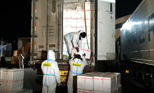 长春海吉星农产品市场恢复蔬菜供应